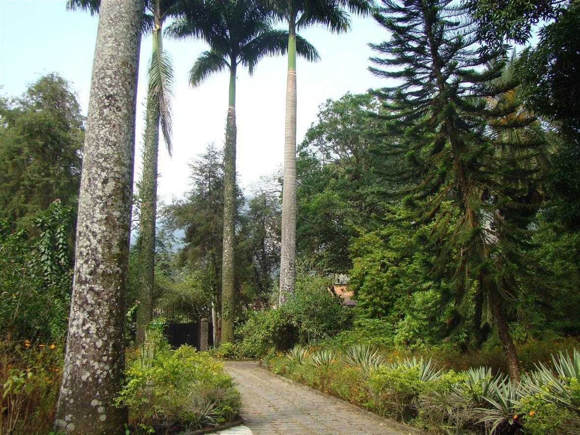 Casa De Campo Dos Sonhos Bed & Breakfast กาโชเอย์รัส เจ มากากู ภายนอก รูปภาพ